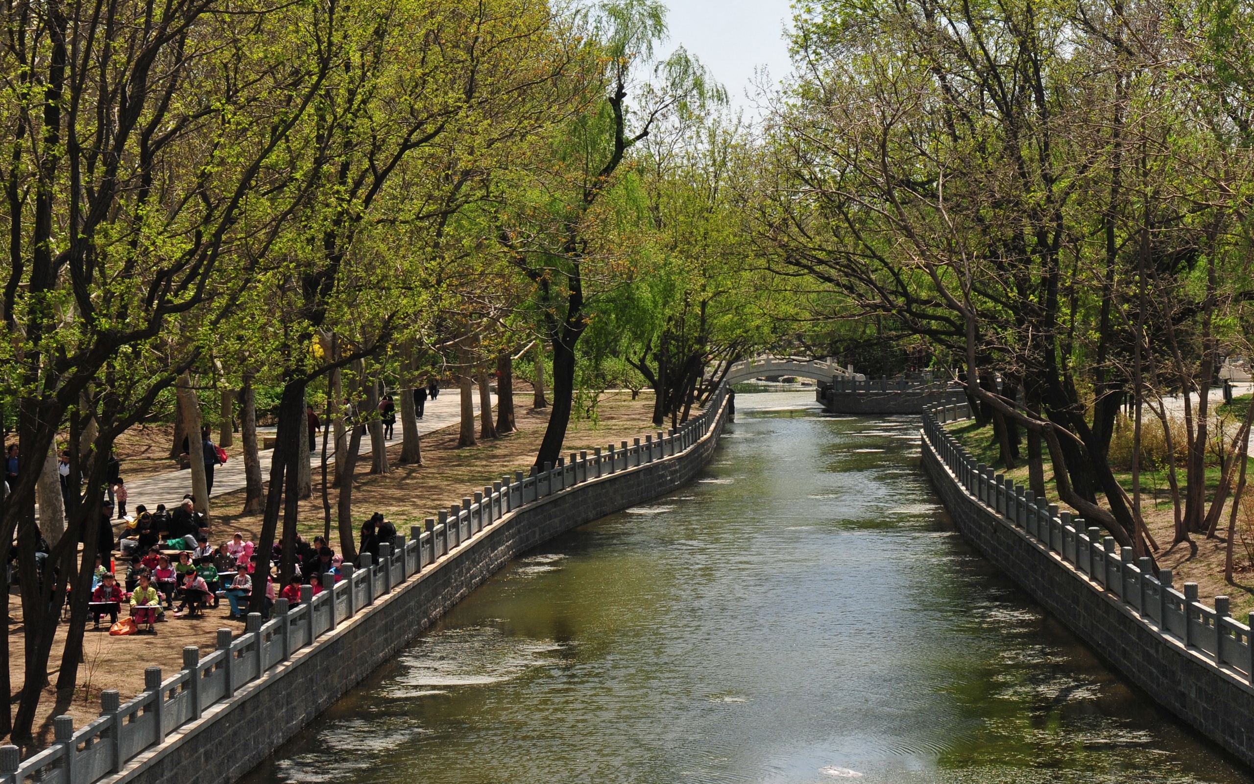 天津西沽公园图片