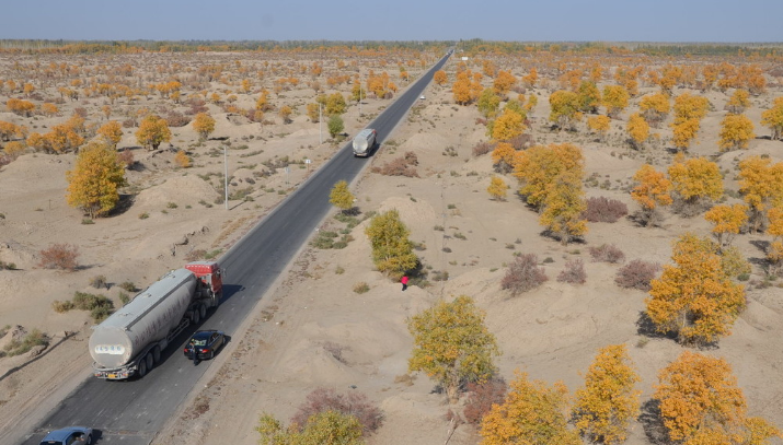 塔里木沙漠公路——沙漠中的绿色长城塔里木沙漠公路