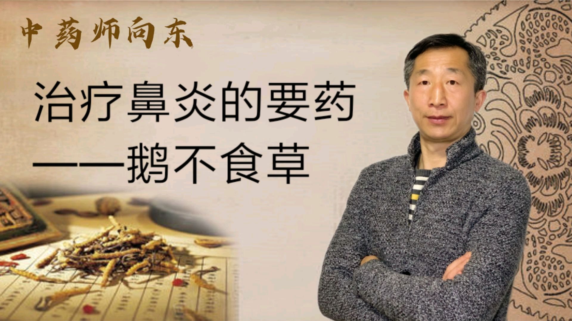 中草药“鹅不食草”————治疗各类鼻炎的要药