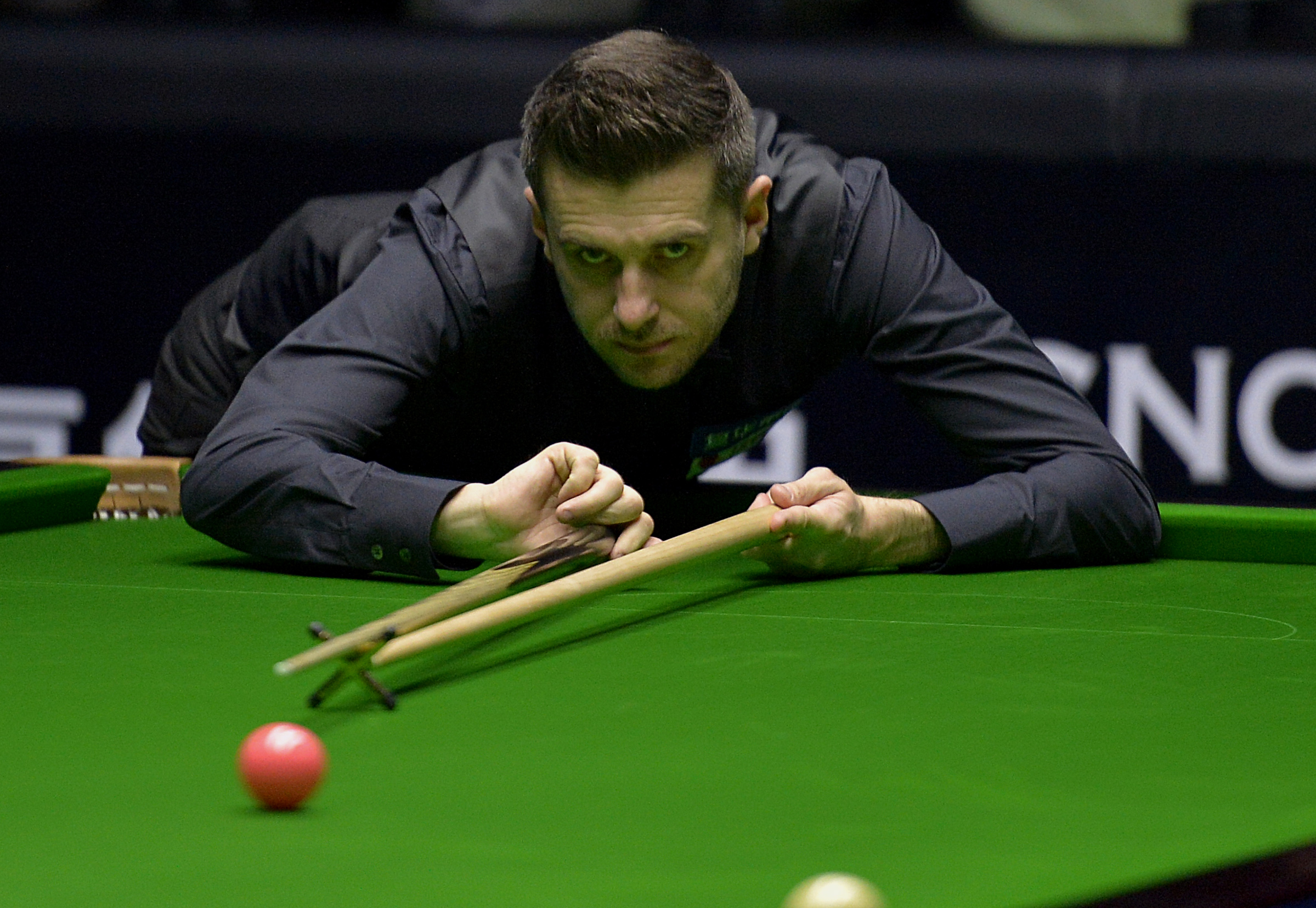 斯诺克——中国公开赛:塞尔比夺冠(17)