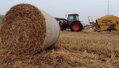 秸杆- 热门商品专区