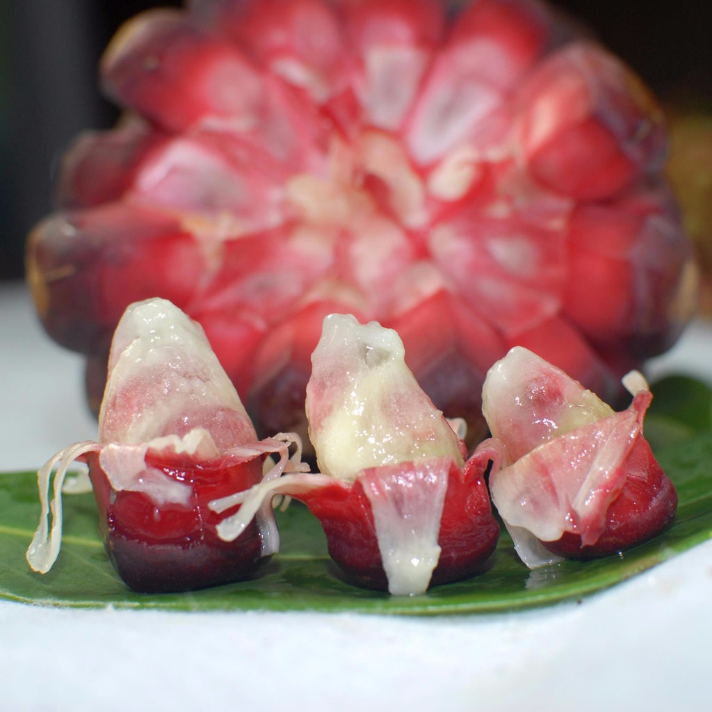 农村这野果子,不仅好吃,名字还更霸气,99%的人见过说不出名字