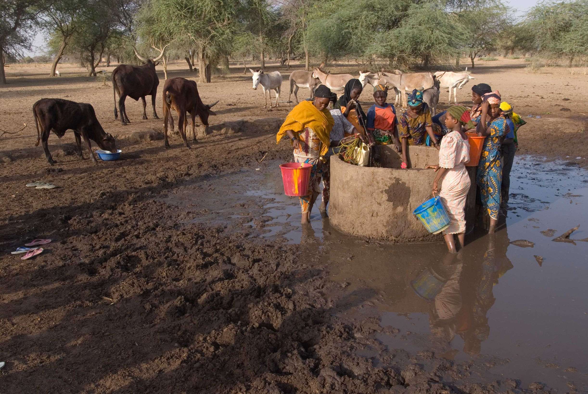布隆迪这个国家贫穷的真正原因是因为连绵不绝的内战.