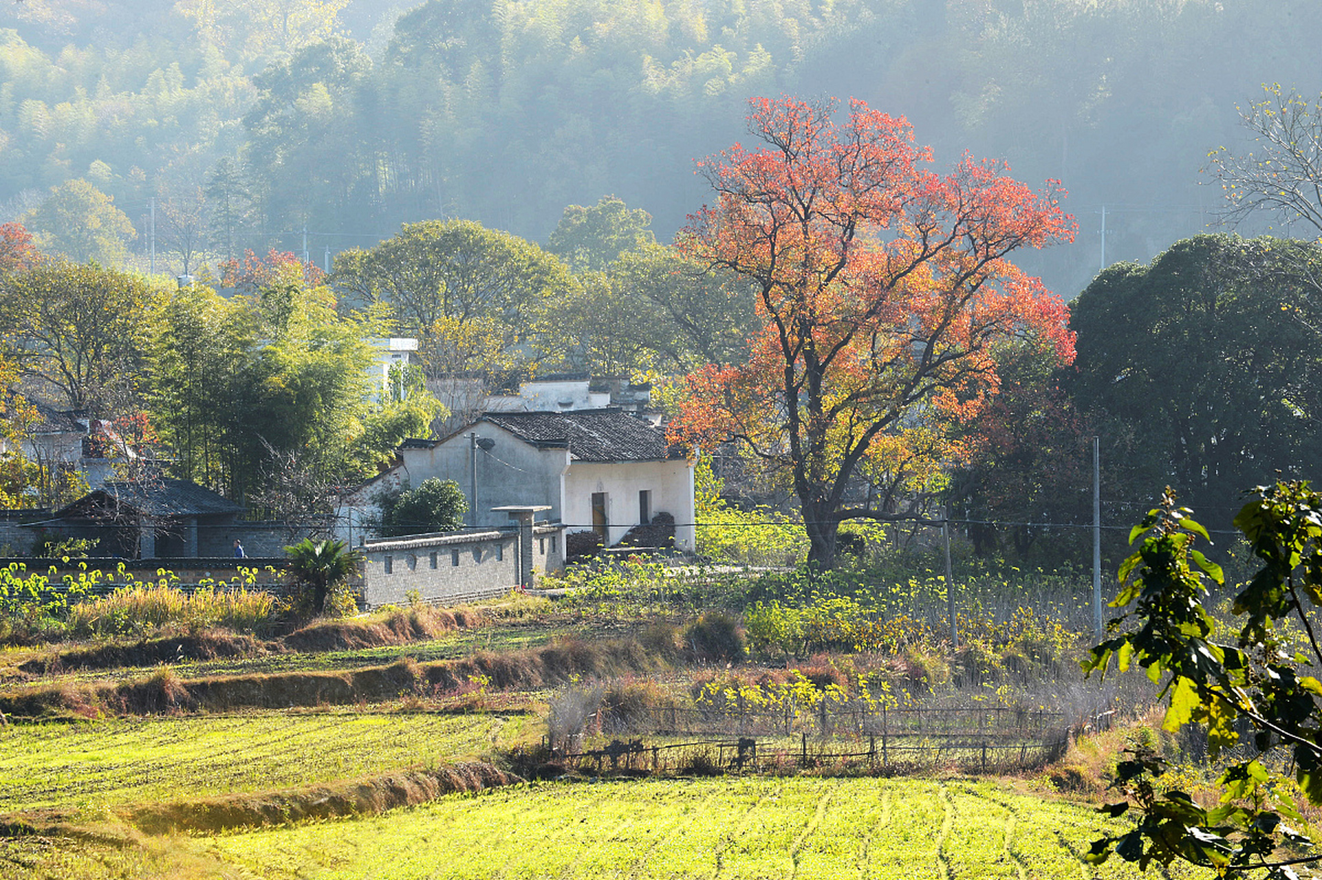 歙县霞坑镇石潭村图片