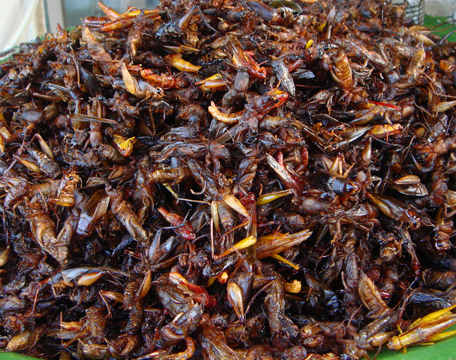 柬埔寨重口味街头小吃"油炸蟋蟀"