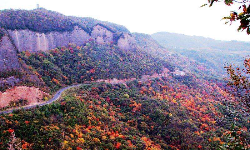 咸阳10大旅游景点你去过几个?网友:乾陵和袁家村值得去