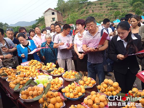 宜宾举行"凉姜镇第九届乡村旅游文化节"活动