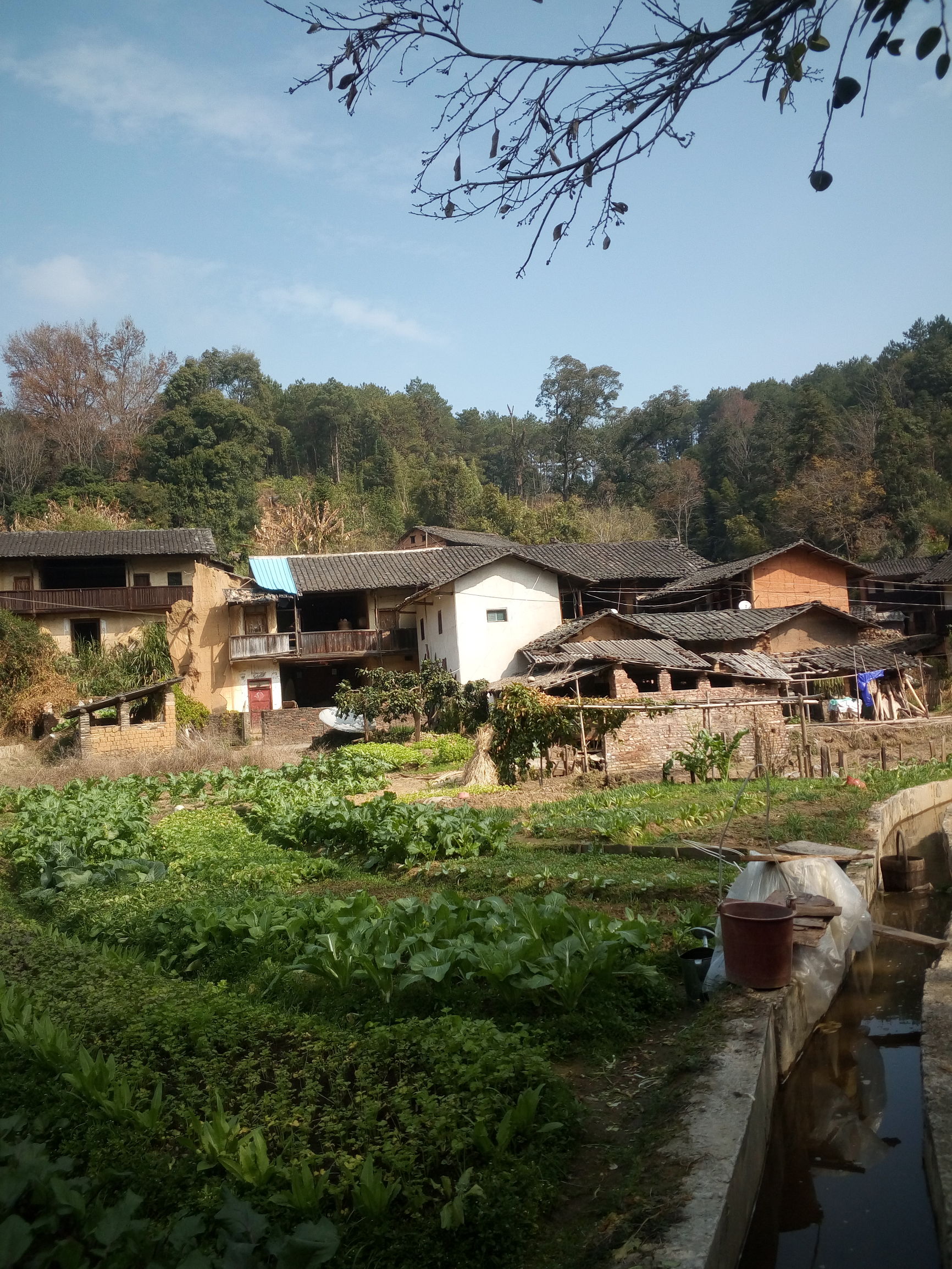 旅游:龙岩市永定县城郊乡樟坑一览