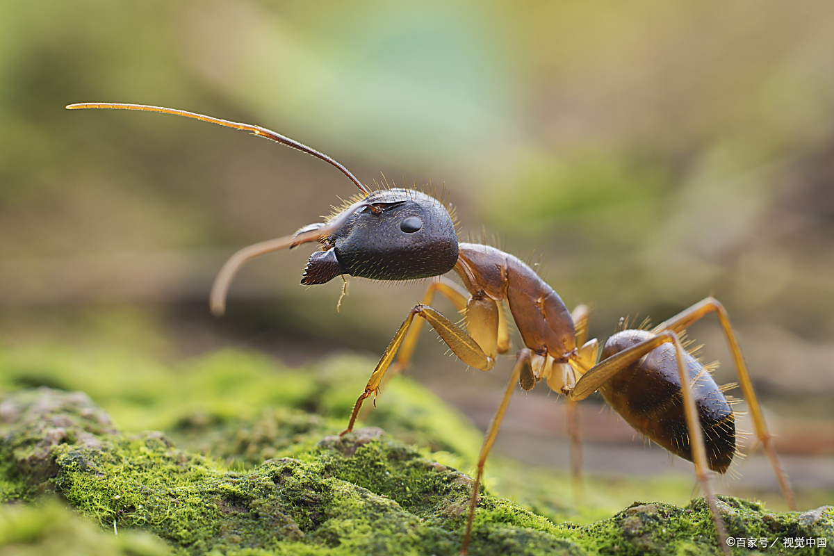 小蚁多多寻家记