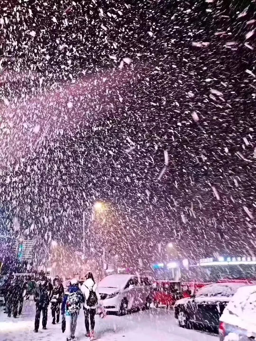 紧急提醒:风吹雪 骤降12℃,哈尔滨今晚开始下雪→我省多地连续三天有