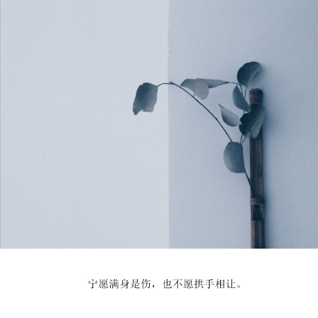 相逢无望燕归来,最是无计悔多情丨告别过去