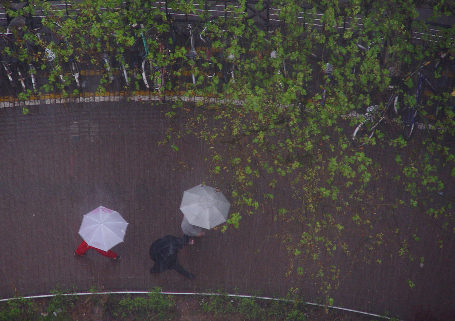 屋檐下躲雨图片