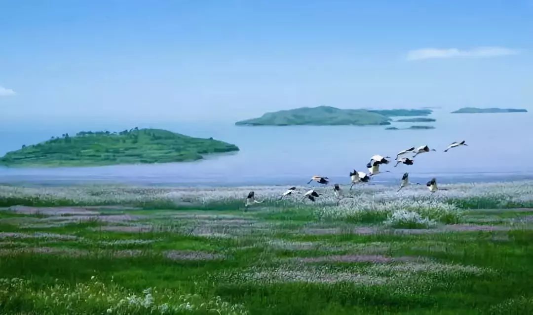 江西卫视春晚丨一棵小葱改编《青花瓷》靓艳全场