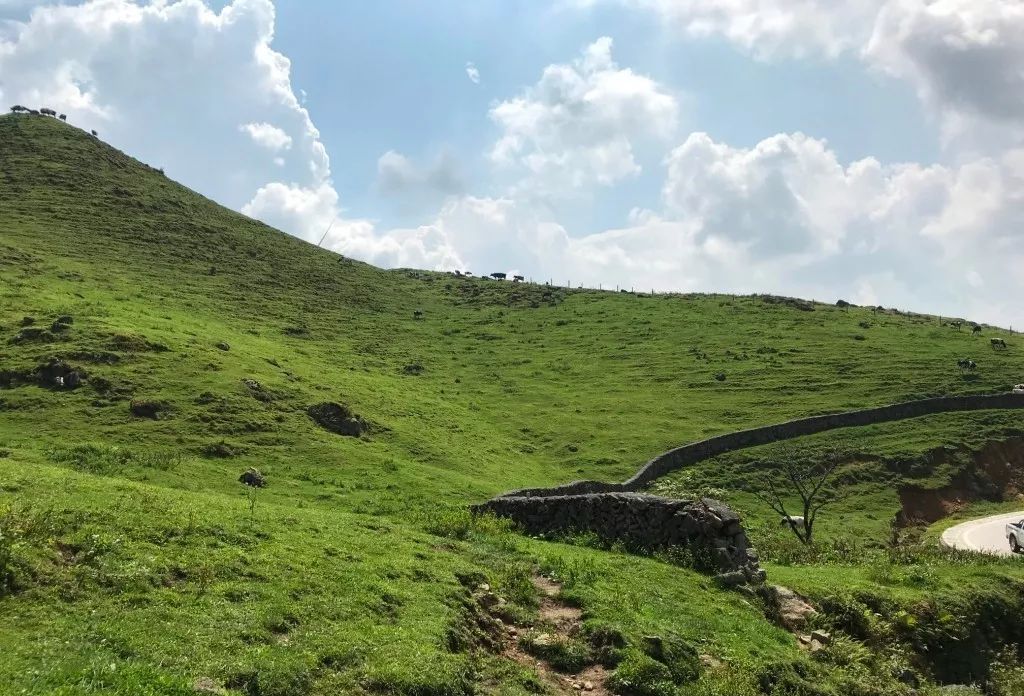 亲子游:自驾湖南城步南山牧场
