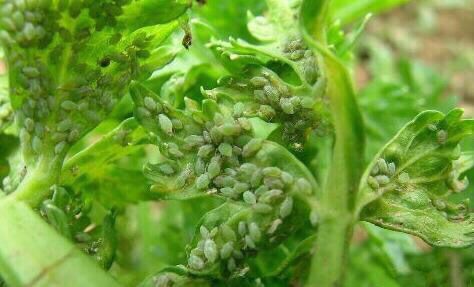 树树- 热门商品专区