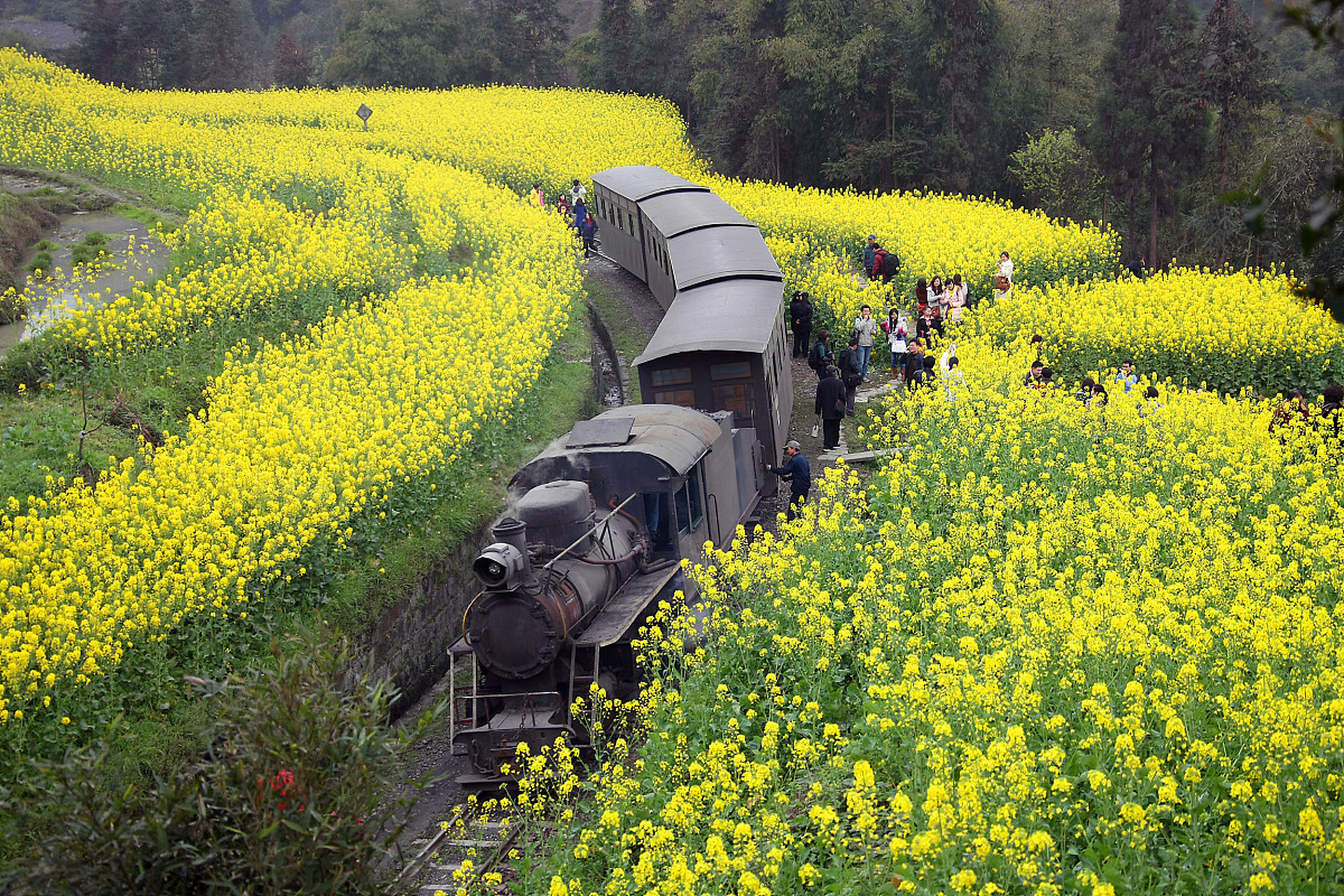 嘉阳小火车:嘉阳小火车是犍为县的一大特色景点,它是现存为数不兜的