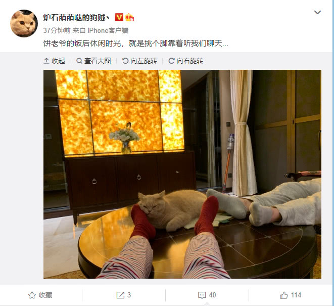 炉石传说:斗鱼狗贼微博晒猫引吐槽 网友:涛妹狗贼的幸福时光!
