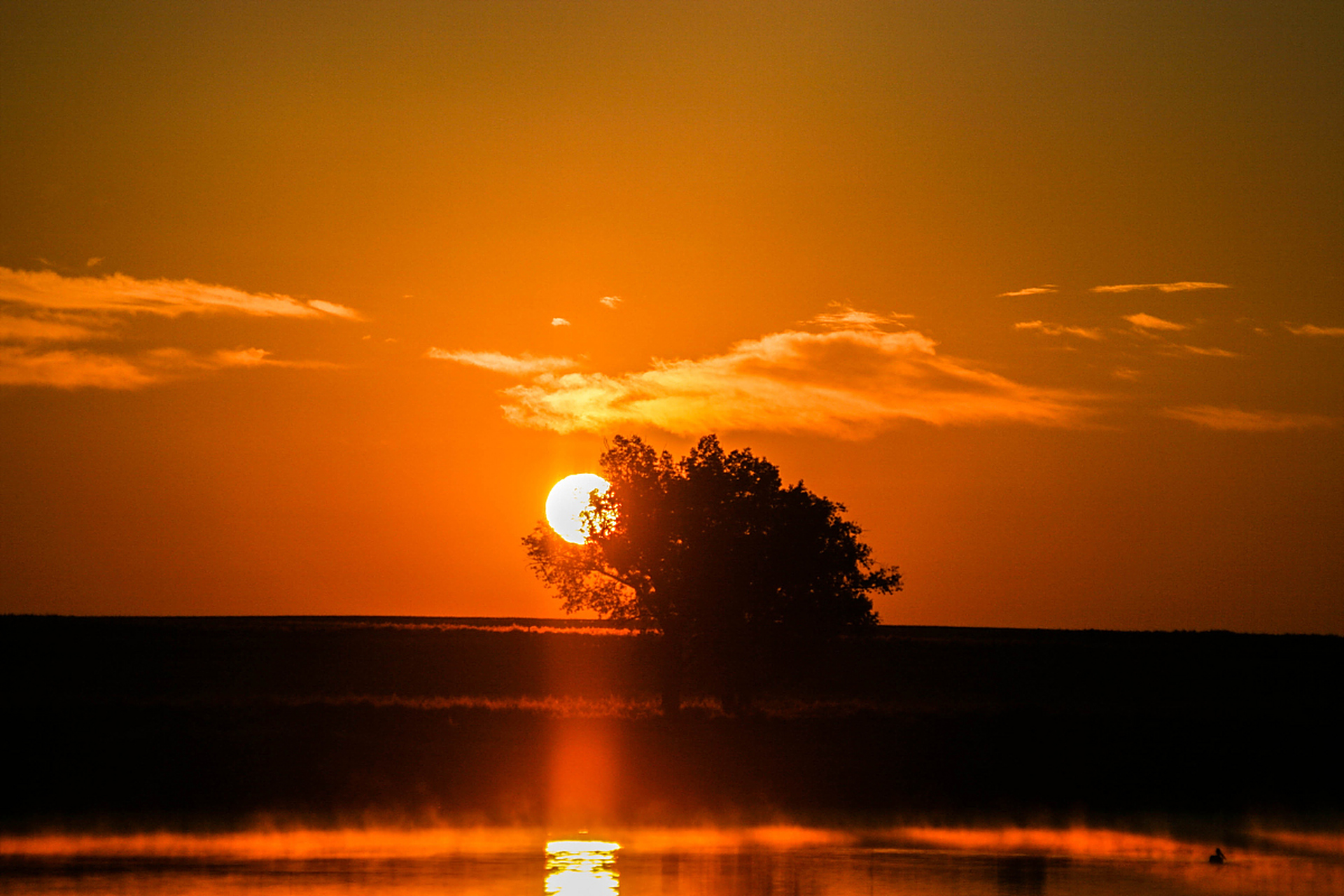 你拥有活跃的想象力 内心世界更丰蟲 交流史有深度 它最好的一点在于