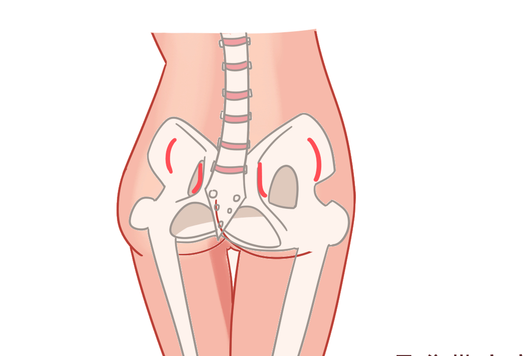 勤勉!看过孕妇耻骨图的姐妹能告诉下具体是在哪个位置吗?