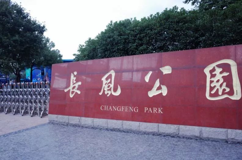 「记忆」长风公园60岁啦!一组老照片回忆ta的故事