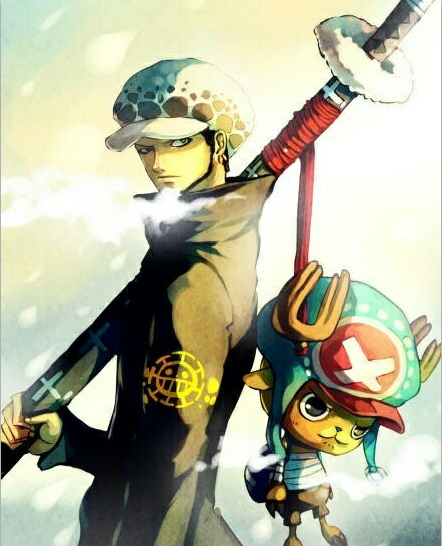 帅呆了!海贼王中手术果实能力者罗和乔巴的艺术照!