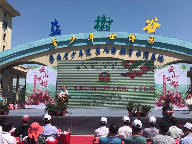 青岛平度云山第十三届大樱桃产业文化节活动拉开帷幕