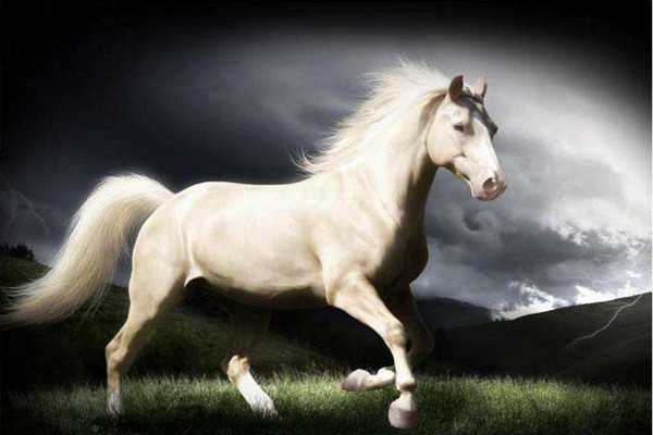 no5: 乌云踏雪(乌云笼罩雷声怒,踏雪无痕断河桥)