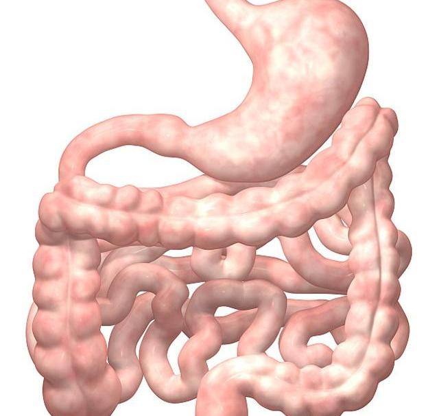 长时间不"排大便",体内的大便到哪里去了?或许很多人不了解