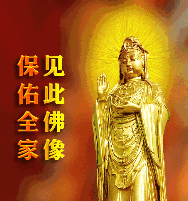 她们曾是公务员,博士,富豪,却出家为尼