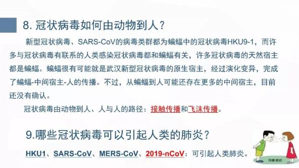  武汉这次的新型冠状病毒是什么时候开始的(新型冠状病毒属于什么类型)