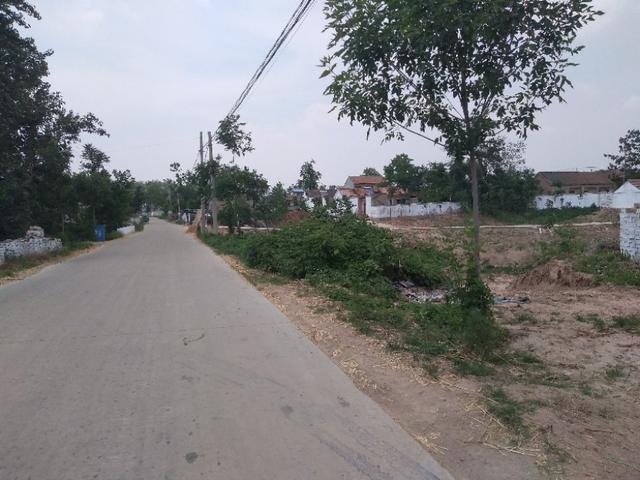 单县浮岗镇朱焦庄村家乡风貌,快看有你家没有