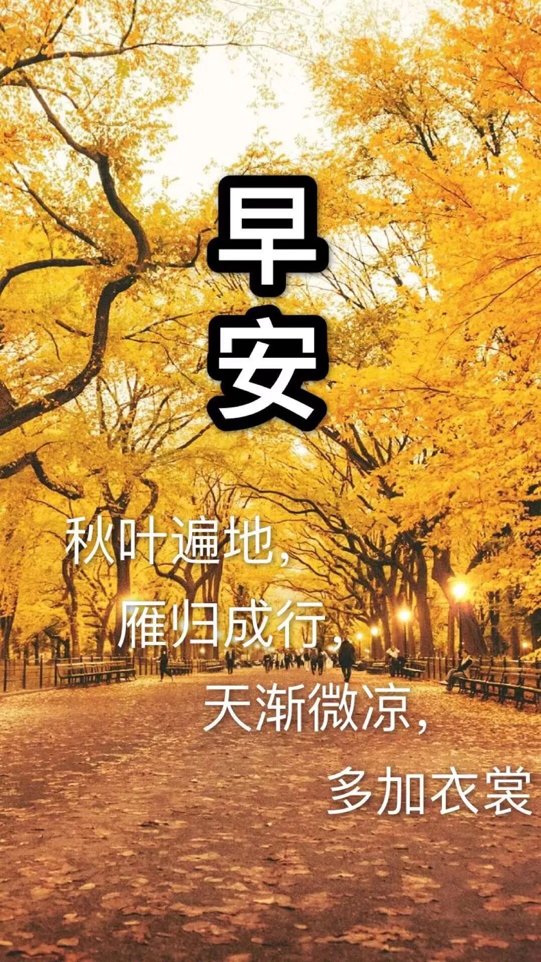 深秋最美的早晨祝福语图片,天冷最暖心的问候,送亲爱朋友们