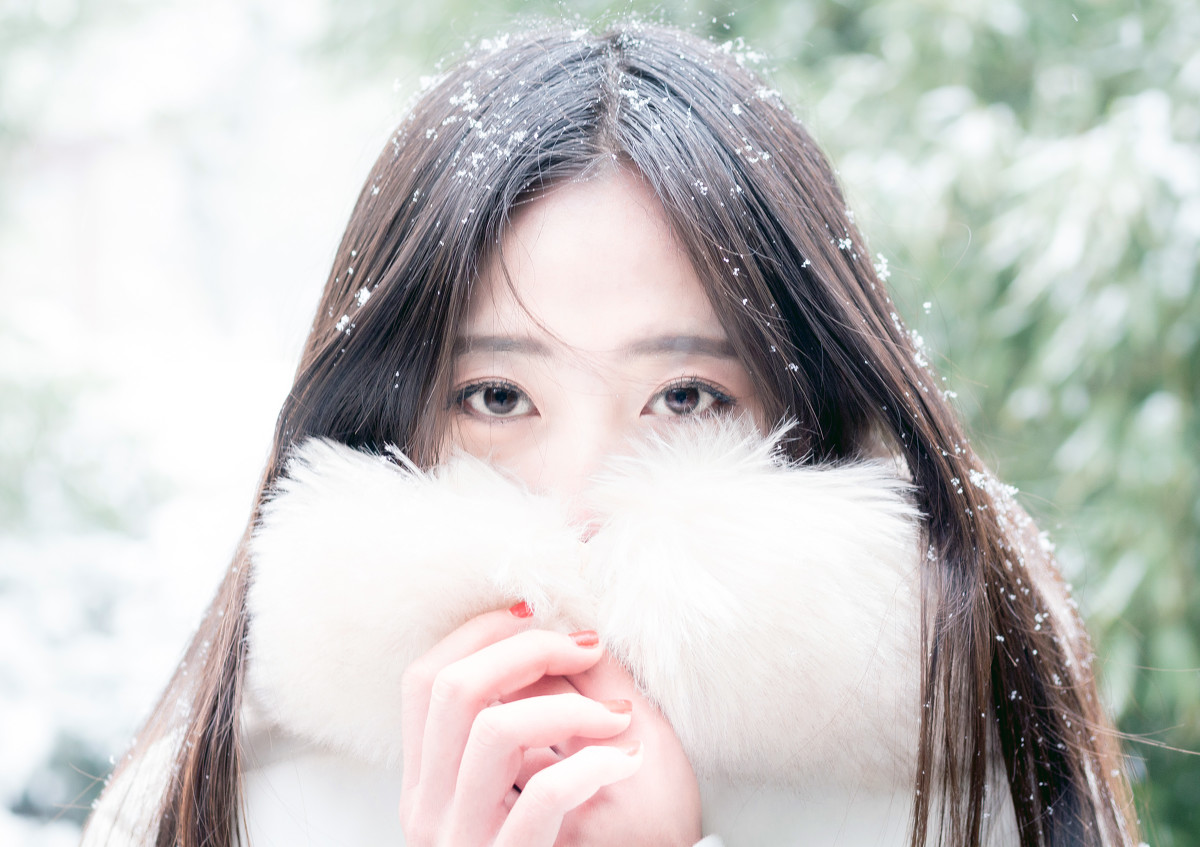 子夜归定档
