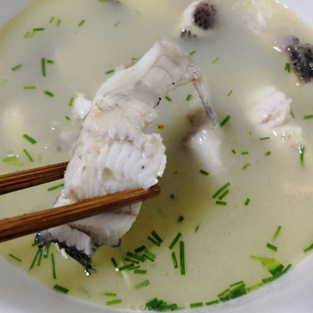 黑魚湯,營養會翻倍,味道更鮮美,湯白如奶