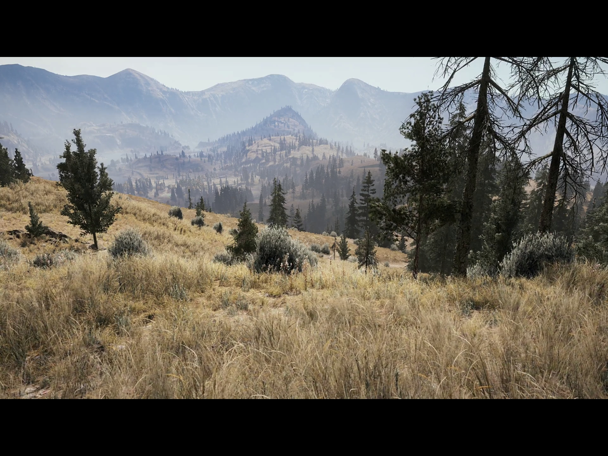 游戏里的风景,4k分辨率下的《孤岛惊魂5》带你畅游蒙大拿州