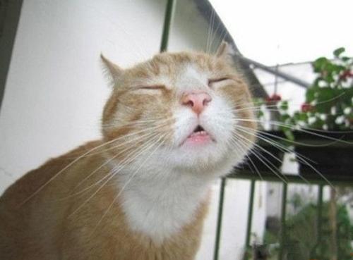 想拍张她安逸的照片,结果却有了这个表情,我晕