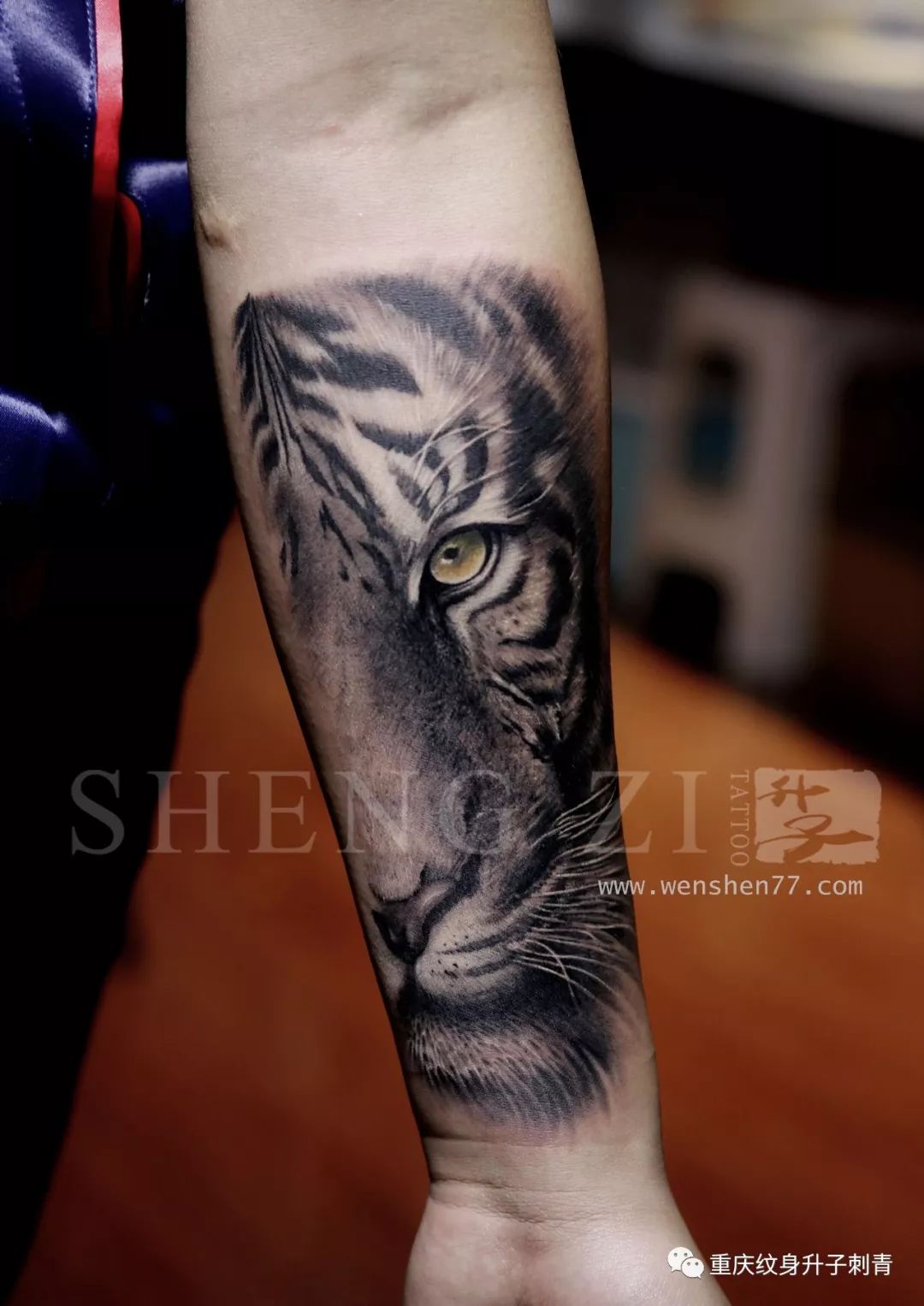 手臂欧美写实老虎纹身图案