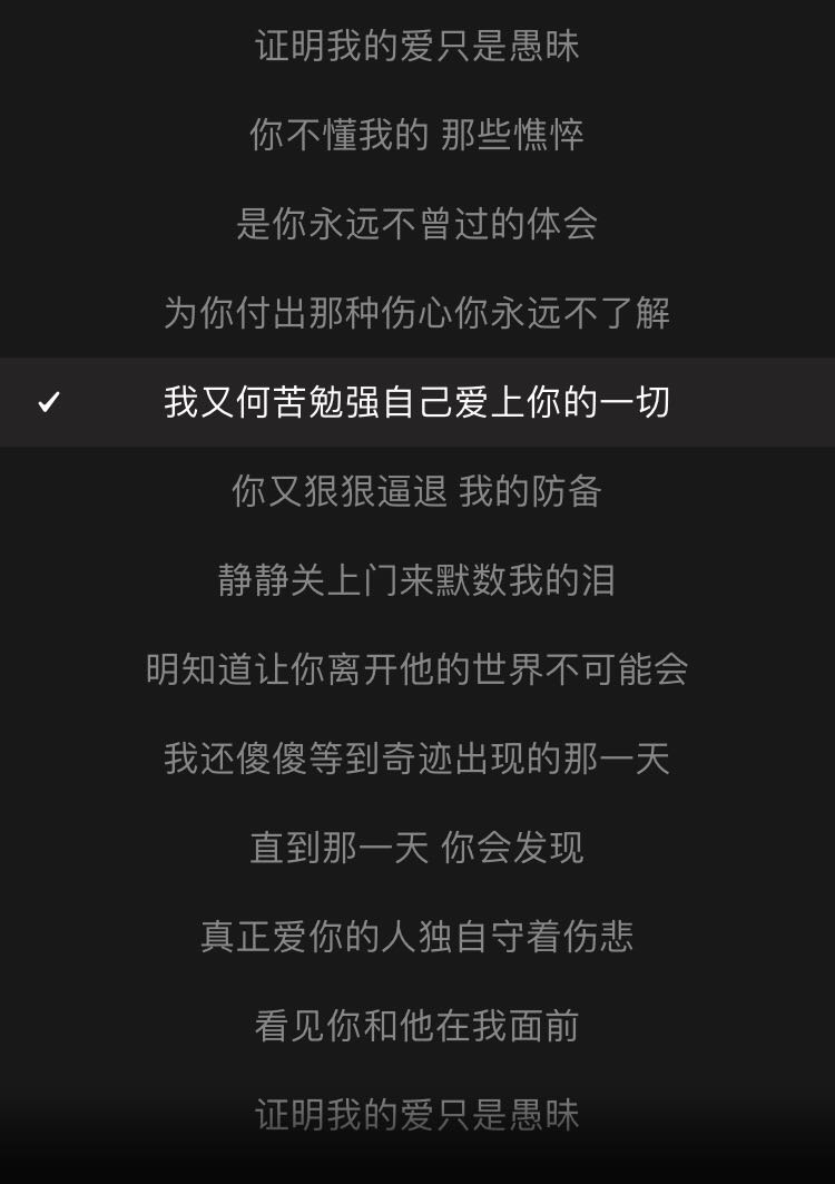 屏幕里的歌词还在不断