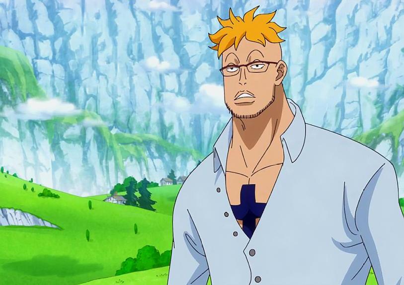 大妈要对路飞出手了,马尔科到底来不来和之国,是不是怕了