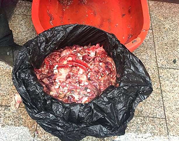 老花匠扔1坨"烂肉"到盆里,根枝强,开花多,比黄豆水都管用!