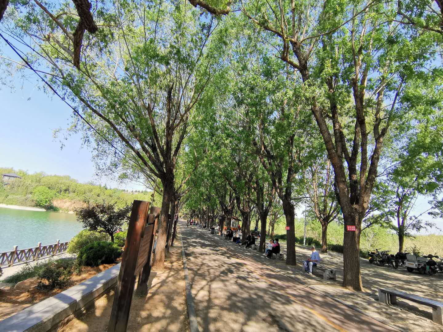 青州市:森林公园绿意葱葱 户外踏青拥抱自然