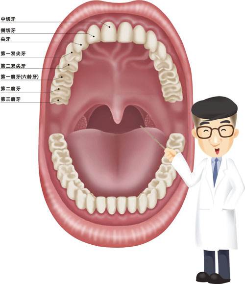 医生从印度一7岁男孩嘴里拔526颗牙齿,鲨鱼可换35000颗