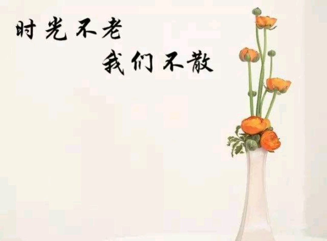 时光不老