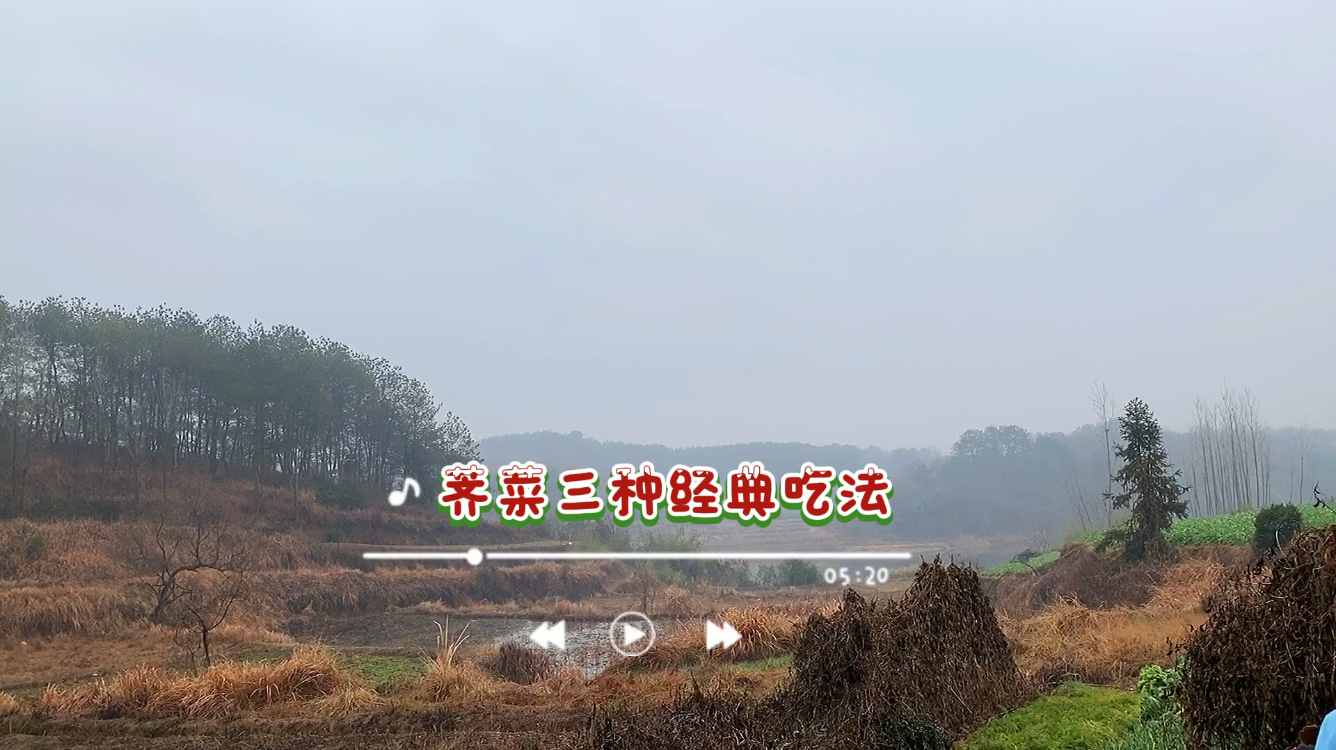 荠菜的三种经典吃法,做法简单,口齿留香,你更喜欢哪种?