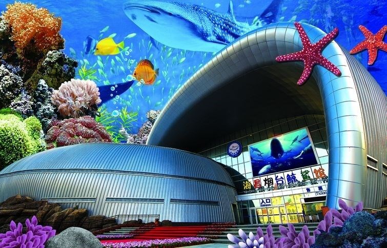 「烟台,威海,蓬莱」人间仙境蓬莱阁,海昌鲸鲨海洋馆,万鸟之乡