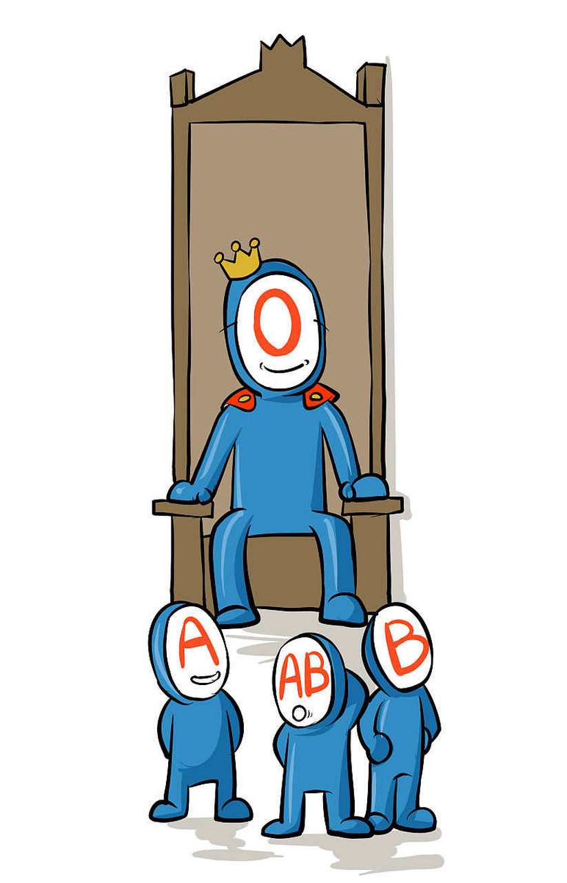 o型血父母可能对孩子产生一系列独特的影响,包括较强的疾病抵抗力