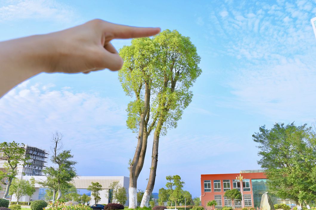 错位镜头 | 我想把江西应用科技学院一直捧在"手心"里!