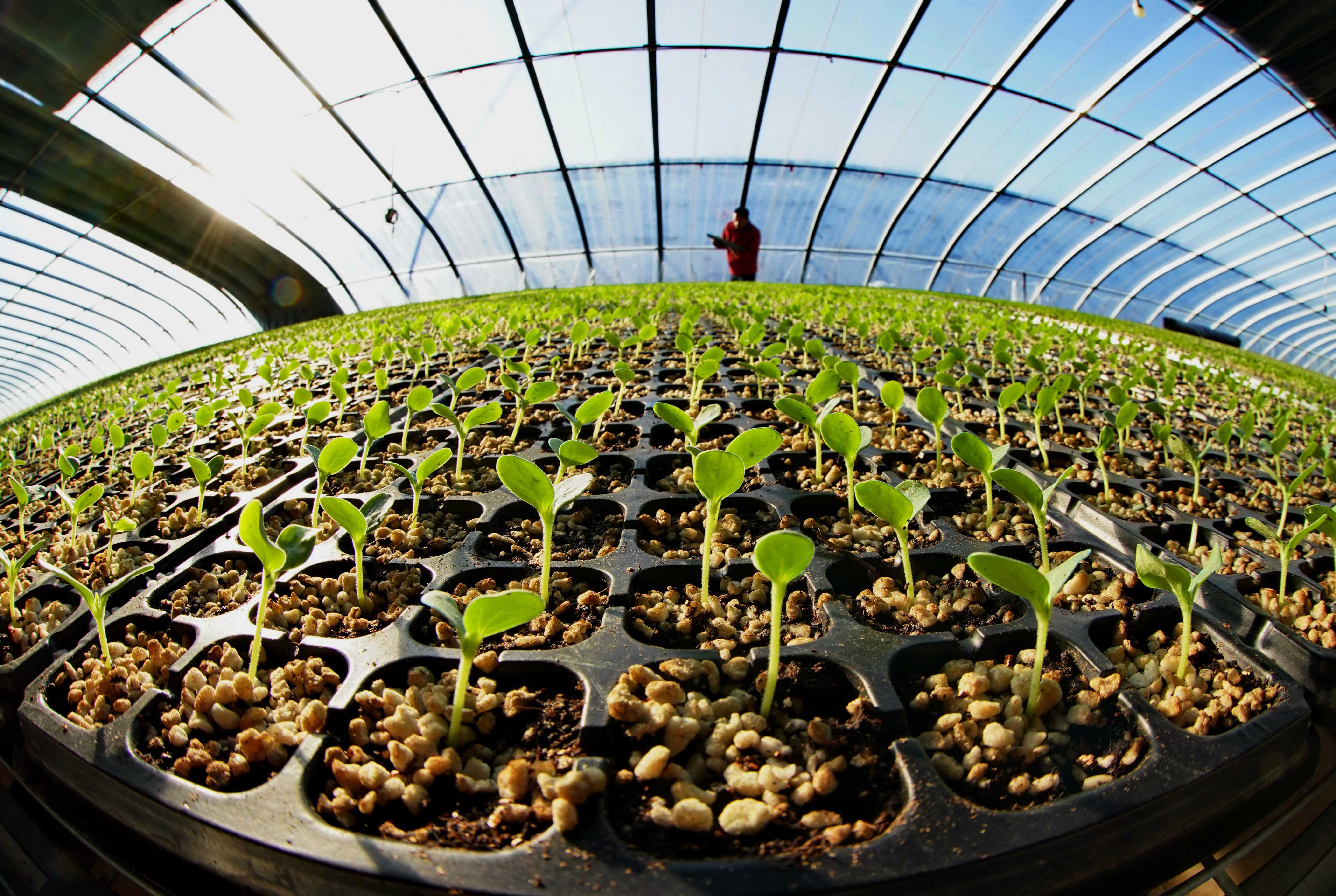 在实现农业农村现代化征程上迈出新步伐——专家解读中央农村工作会议