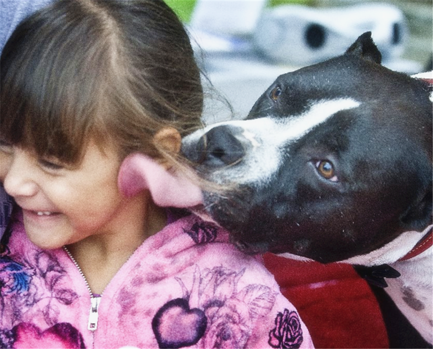 动物跟小孩的友爱互动,第四张画面太滑稽了!