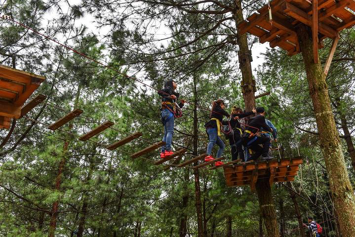 一个考智慧和胆大心细的项目,值得去体验一把哦.那就是丛林飞跃了.